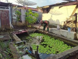 Sertu Suheri Babinsa Koramil 11/ TE Ajak Masyarakat Bersikan Kolam Ikan 500 Ekor Ikan Nila