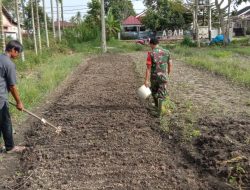Buka Lapangan Pekerjaan Babinsa Koramil 09/SLP Bersama Masyarakat Tanaman Sayur Kangkung