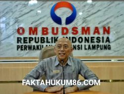 Aktivitas Excavator di Register 43B Krui Utara, Ombudsman RI Provinsi Lampung; Harus ada Ketegasan dalam proses Penegakan Hukum