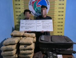 Satresnarkoba Polres Pasaman Amankan 21 Paket Besar Ganja dari Dua Orang Tersangka