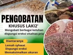 Pengobatan Alternatif Di Mamuju H.Abdulazis Ahli Pembesar Penis Resmi