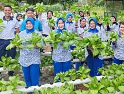 Panen Raya Budidaya Ikan dan Sayuran di Lahan Ketahanan Pangan Agro Jalakaca Lanudal Tanjunginang
