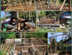 Perangkaian Tiang dan Balok Dimulai, Satgas TMMD Ke-127 Percepat Pembangunan RTLH Rumah Pak Ridwan