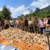Panen Raya Ketahanan Pangan di Supayang, Babinsa Hadir Dukung Swasembada Pangan