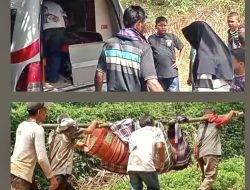 Duka di Batahan Utara Buka Fakta Sulitnya Akses Kesehatan, Pemkab Pasbar Siapkan Penguatan Layanan Darurat Ibu Hamil